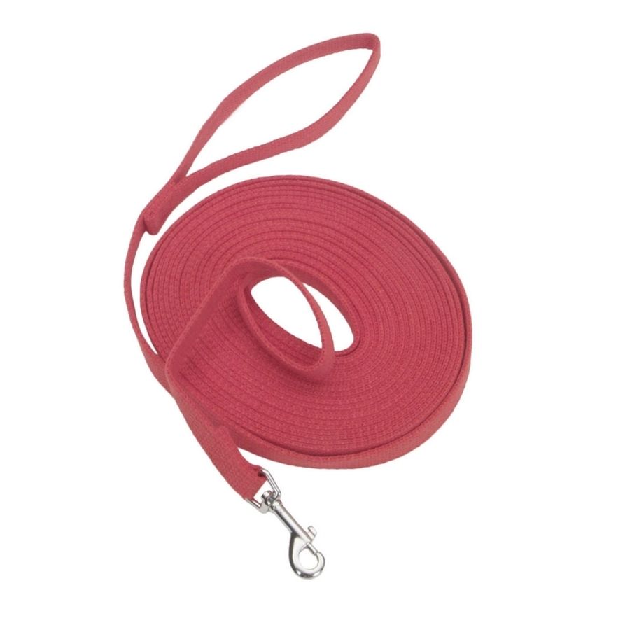 Correa cotton web dog training, red